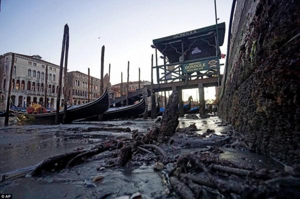 Каналы Венеции остались без воды (ФОТО)