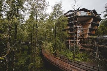 В гармонии с природой: необычный отель в лесу (ФОТО)