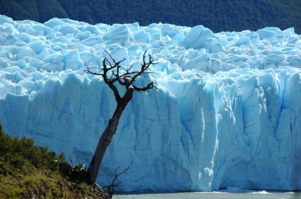 Живописное чудо природы: ледник Перито-Морено в Аргентине (ФОТО)