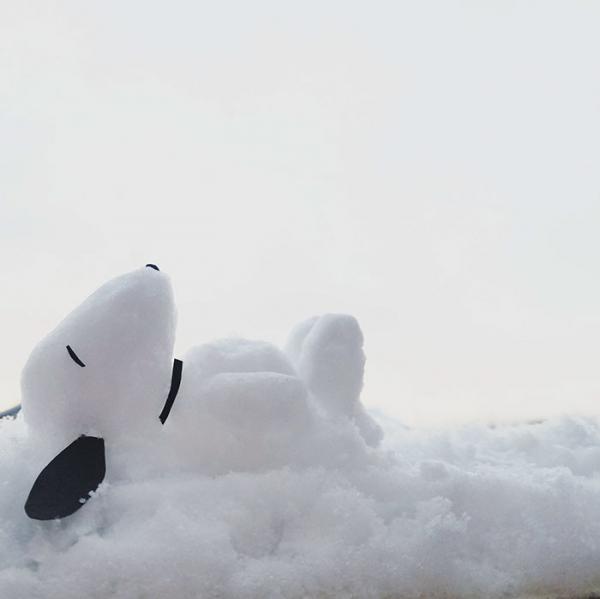 Японцы превращают снег в произведения искусства (ФОТО)