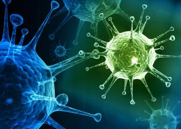 Ученые назвали вирусы, способные уничтожить человечество