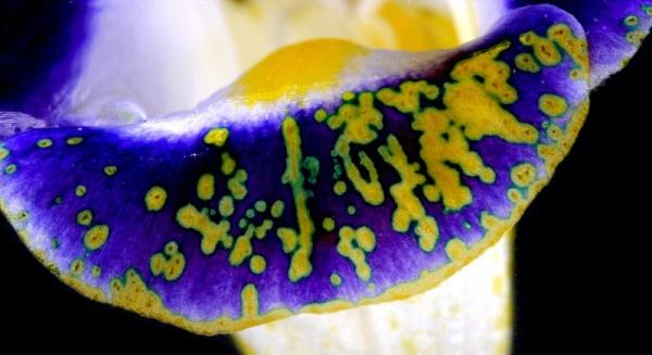 Красивая химия: необычный проект китайских ученых (ФОТО)