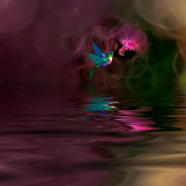 Особенные снимки птиц от испанского мастера (ФОТО)