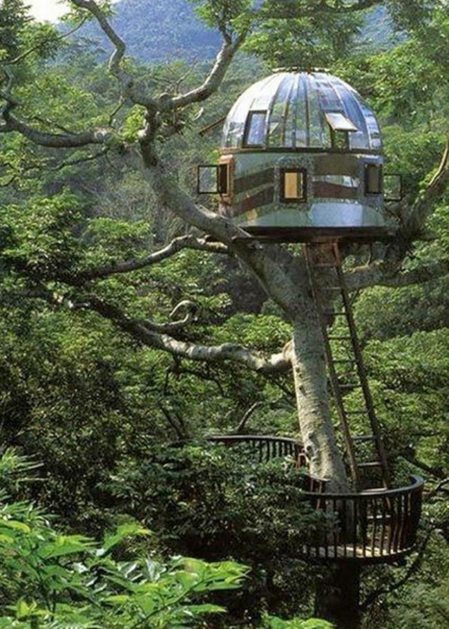 15 экстремальных домов, построенных в необычных местах (ФОТО)