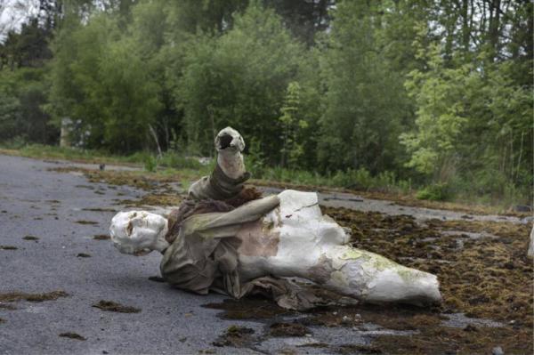 Жертвы моды: кладбище манекенов возле Ньюкасла (ФОТО) 