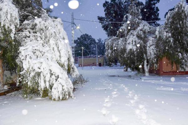 Снегопад в пустыне Сахара (ФОТО)  Снегопад в пустыне Сахара (ФОТО)