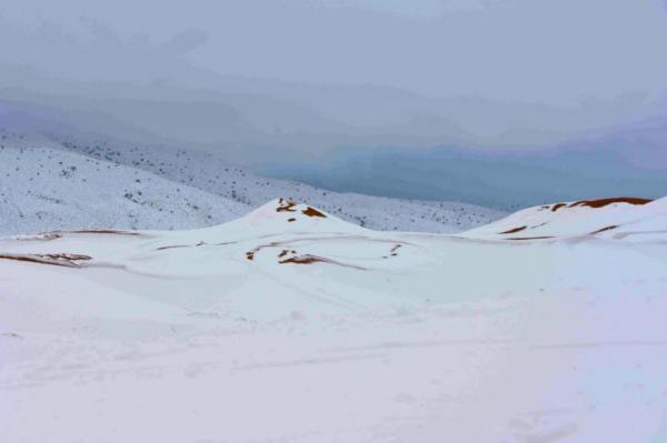 Снегопад в пустыне Сахара (ФОТО)  Снегопад в пустыне Сахара (ФОТО)