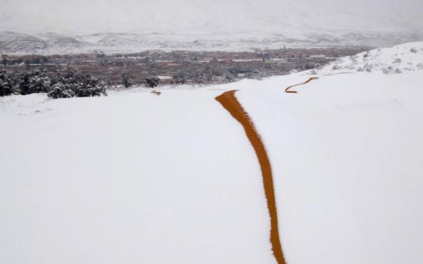 Снегопад в пустыне Сахара (ФОТО) 