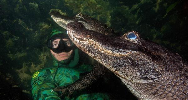 Дружба с аллигаторами: самые опасные селфи в мире (ФОТО)