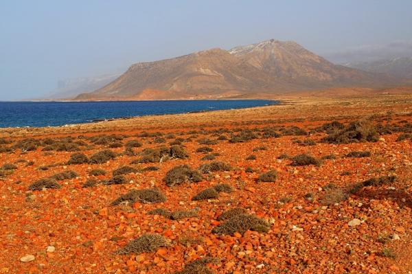 Остров Сокотра – одно из самых прекрасных и удивительных мест на Земле (ФОТО)