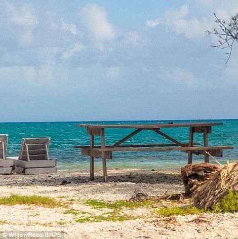 На популярном аукционе выставили на продажу райский остров в Карибском море (ФОТО)