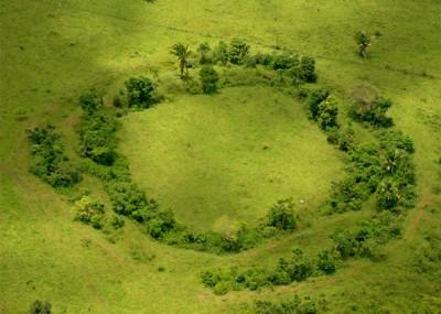 В лесах Амазонки обнаружены следы неизвестной цивилизации (ФОТО)