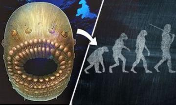 Ученые нашли останки страшных сушеств, которые оказались предками людей