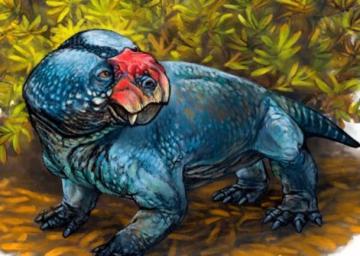 Найдены останки бульбазавра — древнего гибрида черепахи, динозавра и кабана