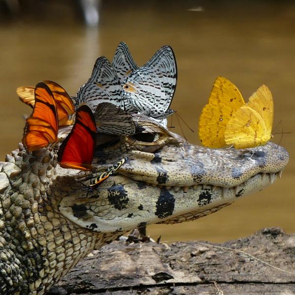 10 крутых фотографий, которые способны вас удивить (ФОТО)