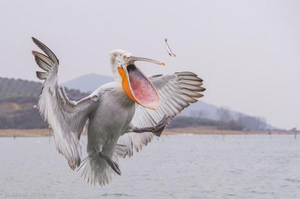 10 крутых фотографий, которые способны вас удивить (ФОТО)