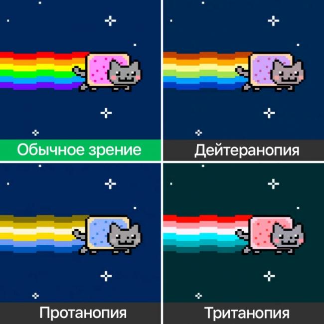 Как видят мир люди с разными формами дальтонизма (ФОТО)