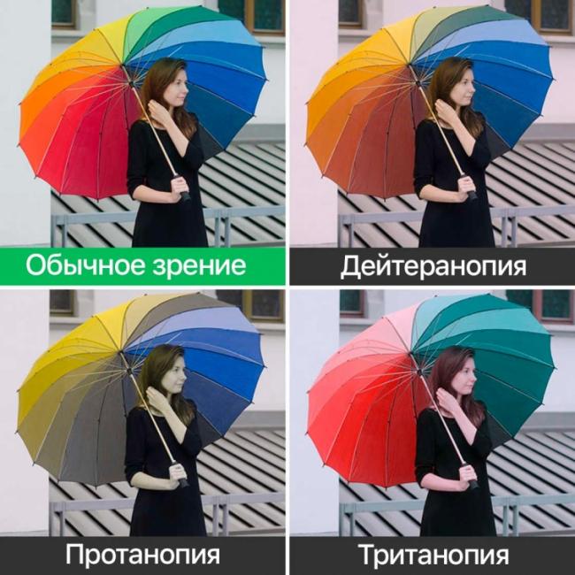 Как видят мир люди с разными формами дальтонизма (ФОТО)