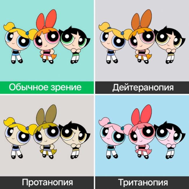 Как видят мир люди с разными формами дальтонизма (ФОТО)