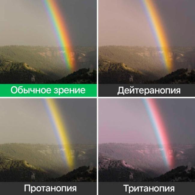Как видят мир люди с разными формами дальтонизма (ФОТО)