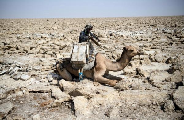 Тяжелая работа: как добывают соль в одном из самых негостеприимных мест на Земле (ФОТО)