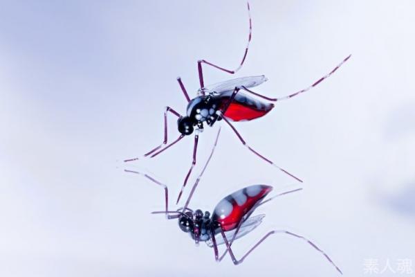 Красивые миниатюрные фигурки насекомых из стекла (ФОТО)