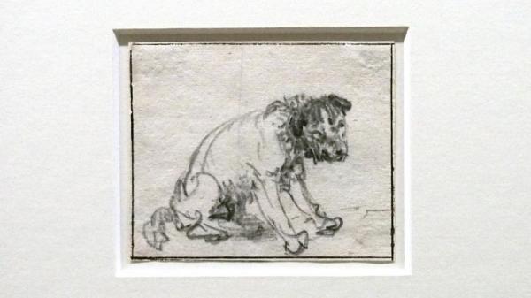 В одном из музеев Германии обнаружили неизвестную ранее картину великого художника (ФОТО)