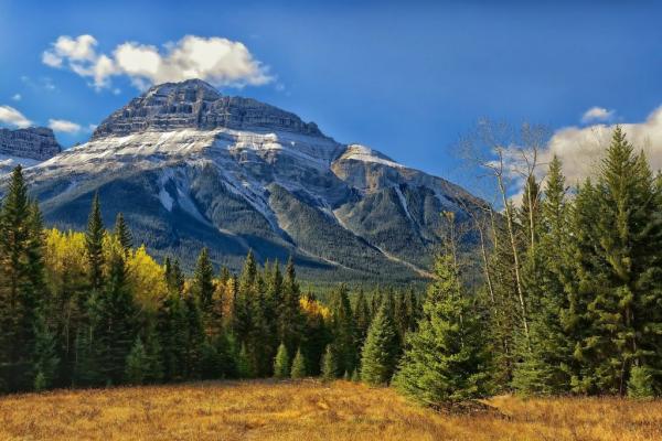 Необыкновенная красота природы: парк Скалистых гор в Канаде (ФОТО)