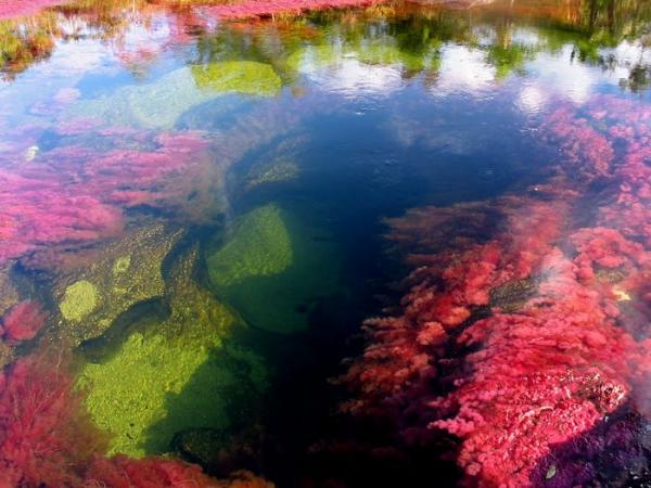 Чудо природы: как выглядит самая глубокая река в мире (ФОТО)