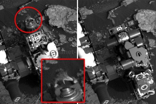 Уфолог нашел на Марсе похожую на ящерицу‍ аномалию (ФОТО)