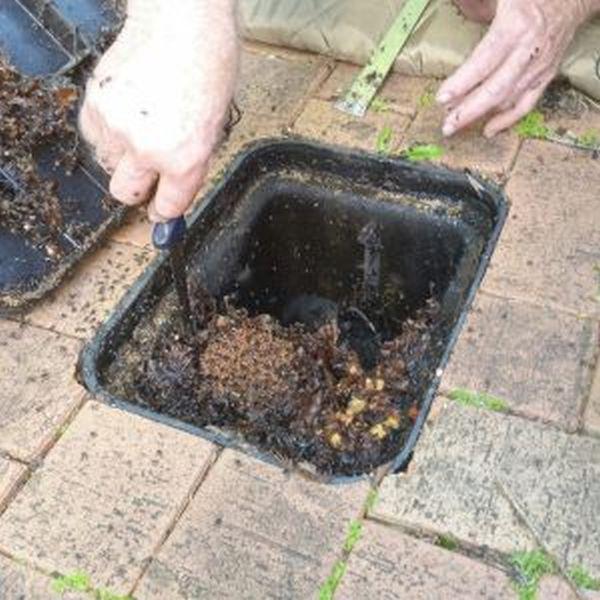 Семья из Австралии сделала странную находку на территории своего дома (ФОТО) Семья из Австралии сделала странную находку на территории своего дома (ФОТО)