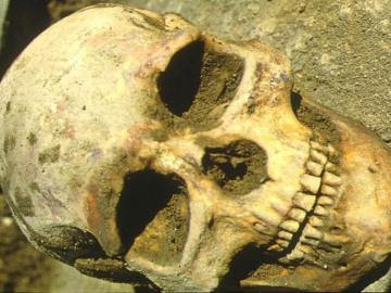 В Китае ученые обнаружили черепа неизвестного вида человечества