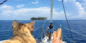 Пиратская компания: девушка с кошкой путешествуют вокруг света (ФОТО)