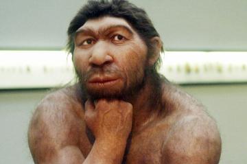 Ученые выяснили, чем лечились неандертальцы