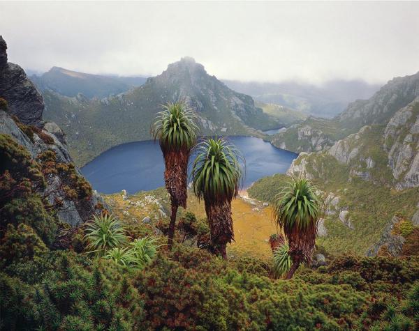 Сказочная красота Тасмании в потрясающих работах фотографа из Австралии (ФОТО)