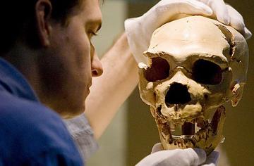 Ученые узнали о лекарствах, которые использовали древние родственники людей