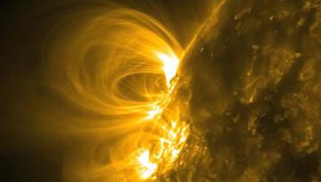 Необычное явление: Солнце окутали невиданные ранее магнитные петли (ФОТО)