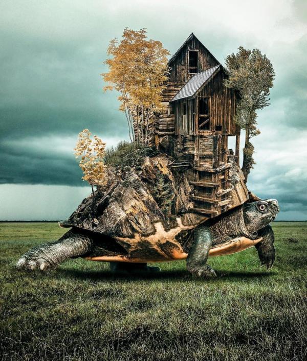 Фантастические цифровые коллажи Хюсейина Шахина (ФОТО)