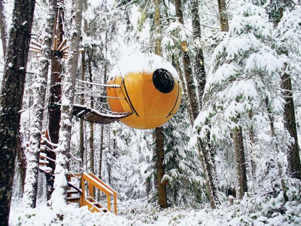 Оригинальный отель в лесу на острове Ванкувер (ФОТО)
