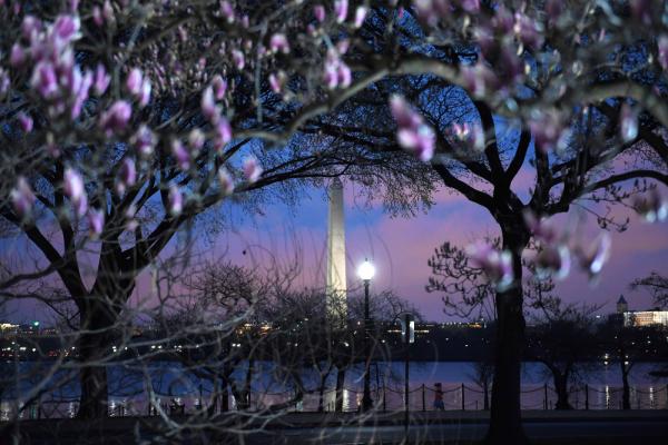 Сытая Америка: кадры повседневной жизни в США (ФОТО)