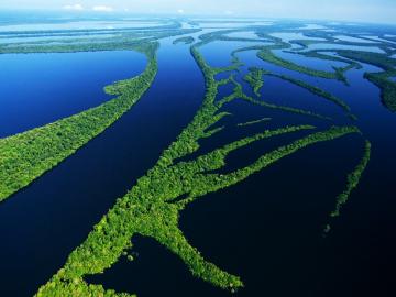 Ученые выяснили реальный возраст реки Амазонки