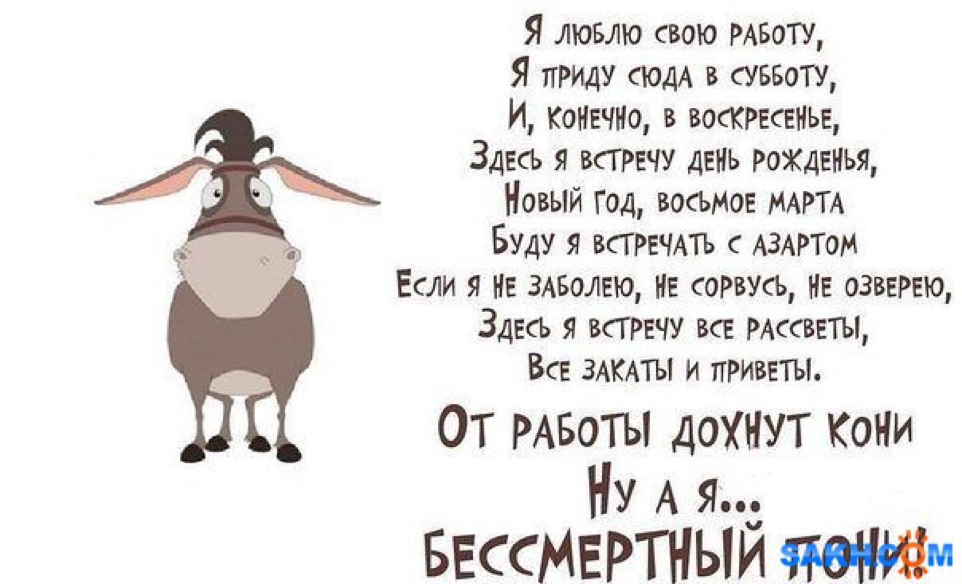 Помощник Петра Порошенко сравнил себя с "бессмертным пони" (ФОТО)
