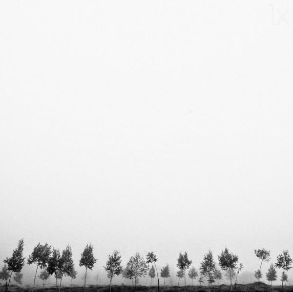 Гениальные снимки со всего мира, увидев которые, вы станете фанатом минимализма (ФОТО)