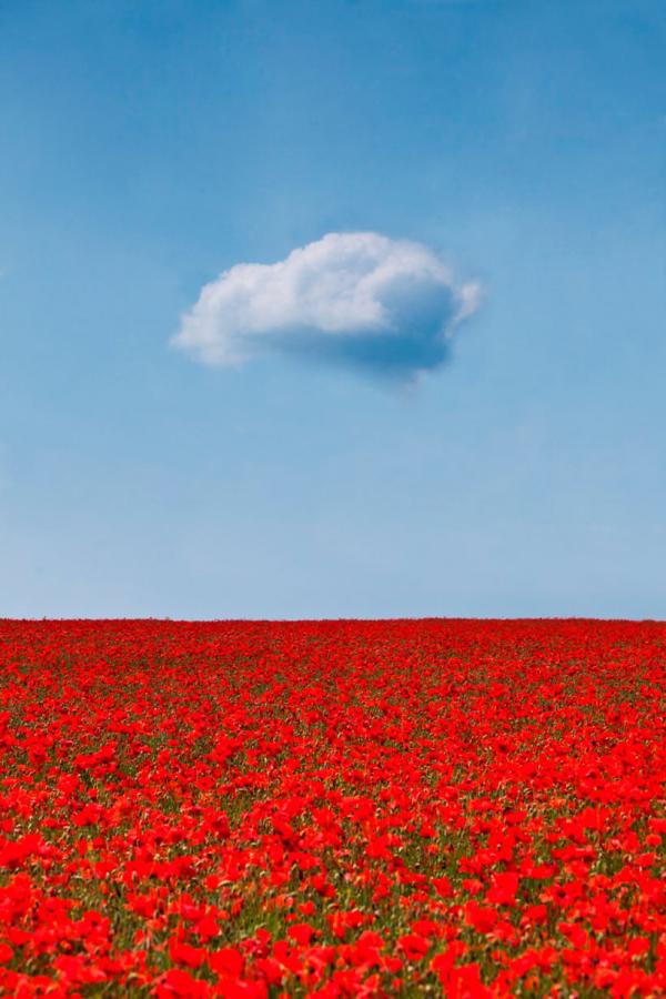 Гениальные снимки со всего мира, увидев которые, вы станете фанатом минимализма (ФОТО)