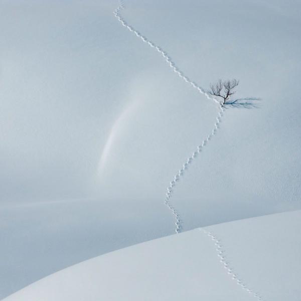 Гениальные снимки со всего мира, увидев которые, вы станете фанатом минимализма (ФОТО)