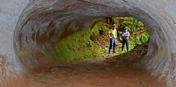 В Бразилии обнаружили туннели, вырытые гигантскими животными