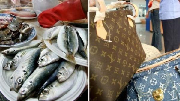 Рыба от Louis Vuitton: поступок пенсионерки из Тайваня рассмешил пользователей Сети (ФОТО) 