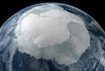 Миллионы лет назад Антарктида была зеленым континентом, - ученые