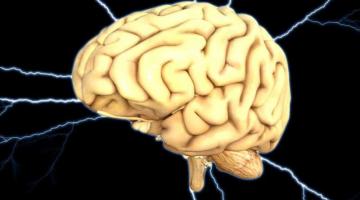 Ученые раскрыли особенности работы человеческого мозга