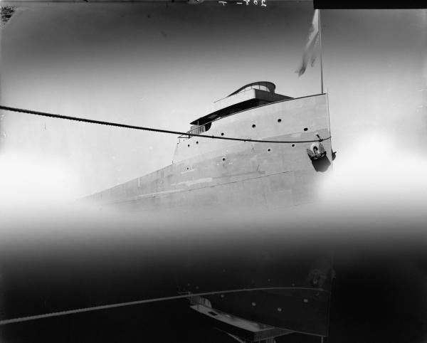Победители фотоконкурса Sony Photography Awards 2017 (ФОТО)